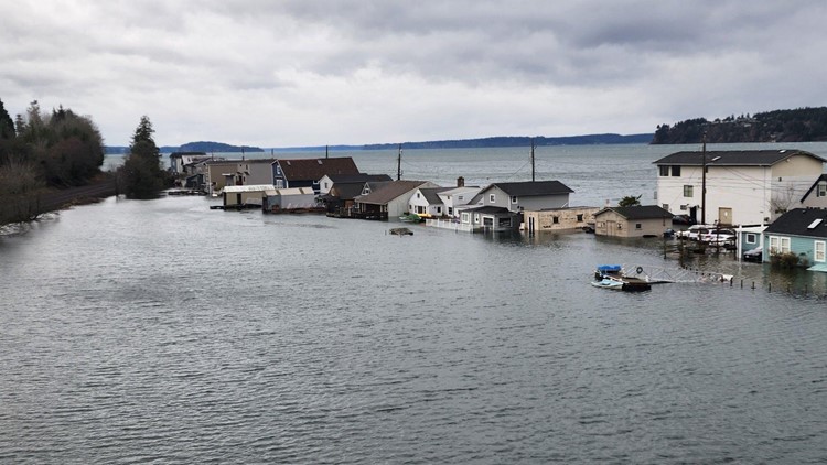 King tides offer clues about effects of rising sea levels