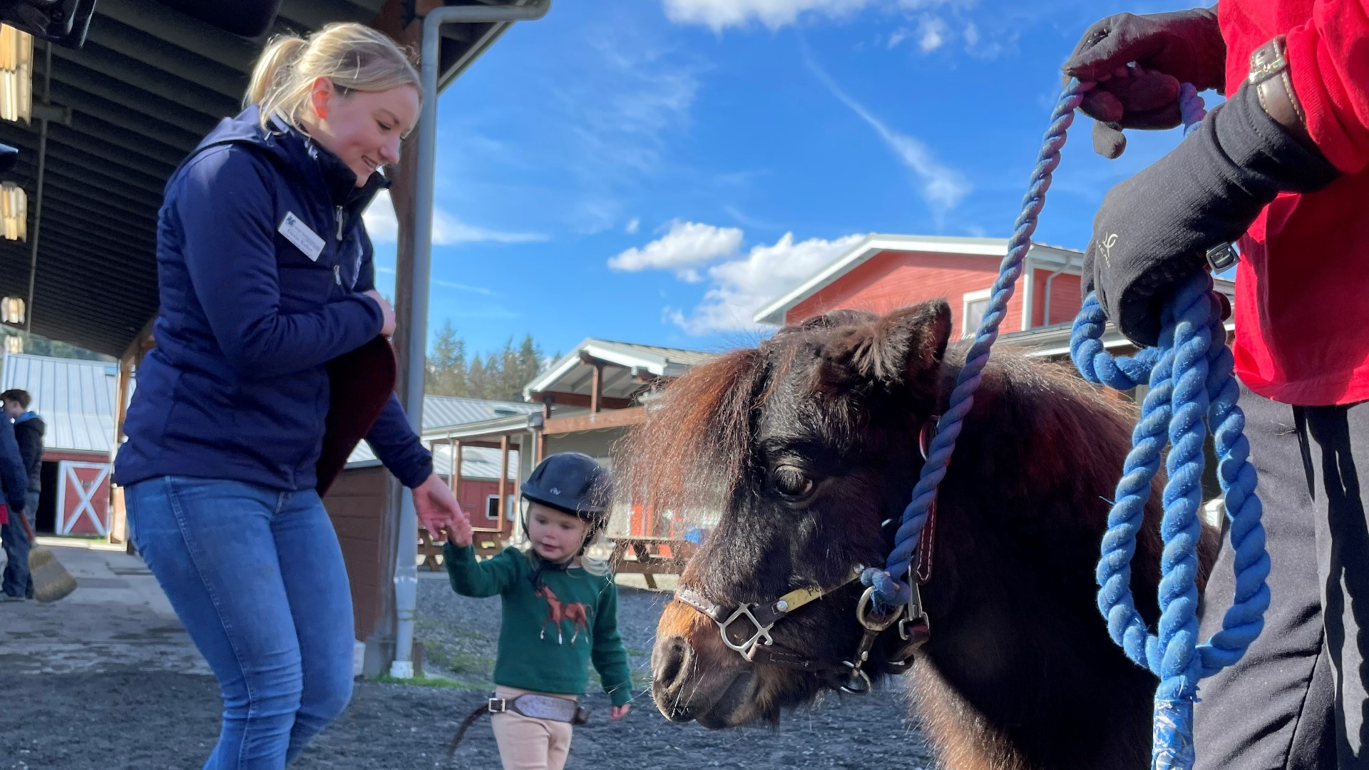 At Little Bit Therapeutic Riding Center horsepower has been helping people with disabilities since 1976.