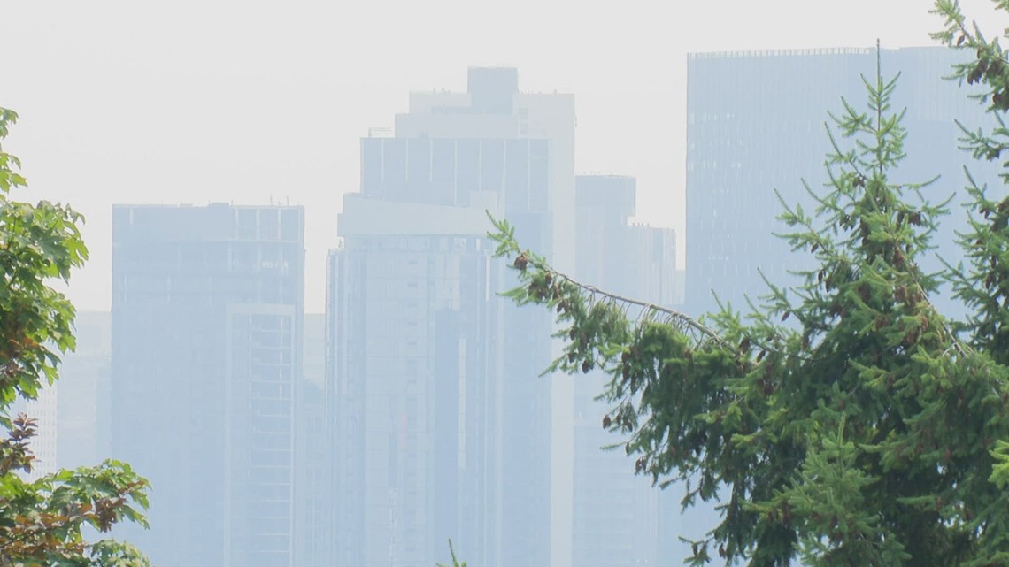 Here's how worsening wildfire smoke is impacting the western US - Vimarsana News