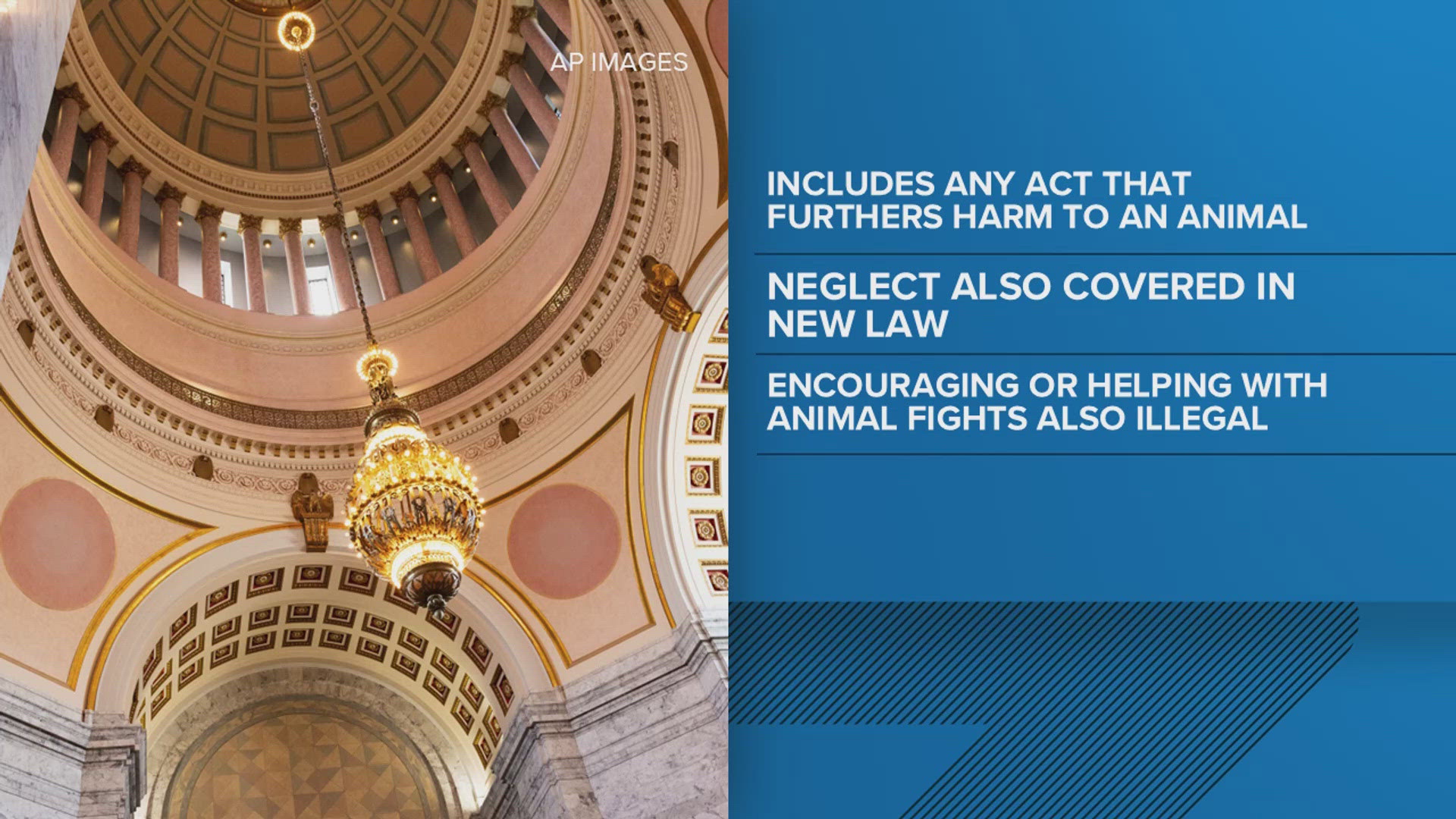On Monday, Gov. Bob Ferguson signed a law expanding the list of actions that qualify as animal cruelty and animal fighting, and modifies related penalties. 
