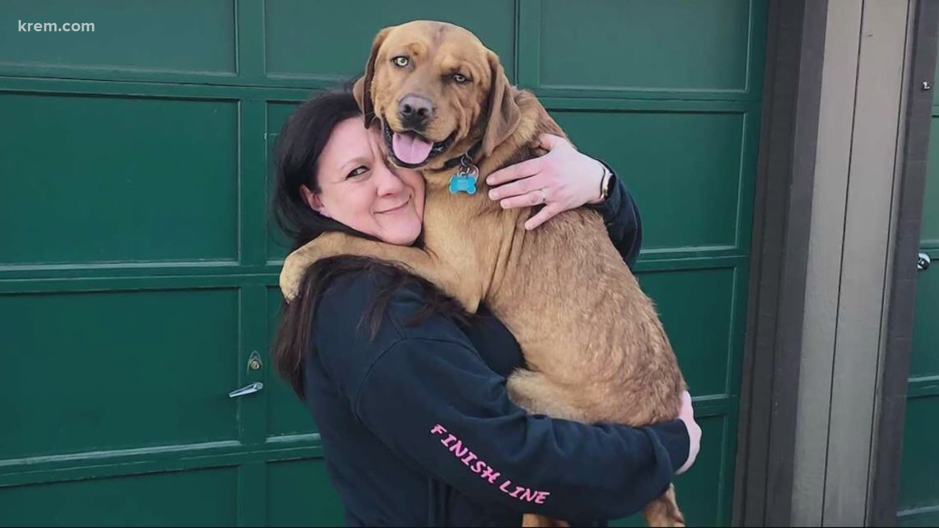 Copper and his owners reconnected Thursday afternoon after Spokane Police got a tip.
