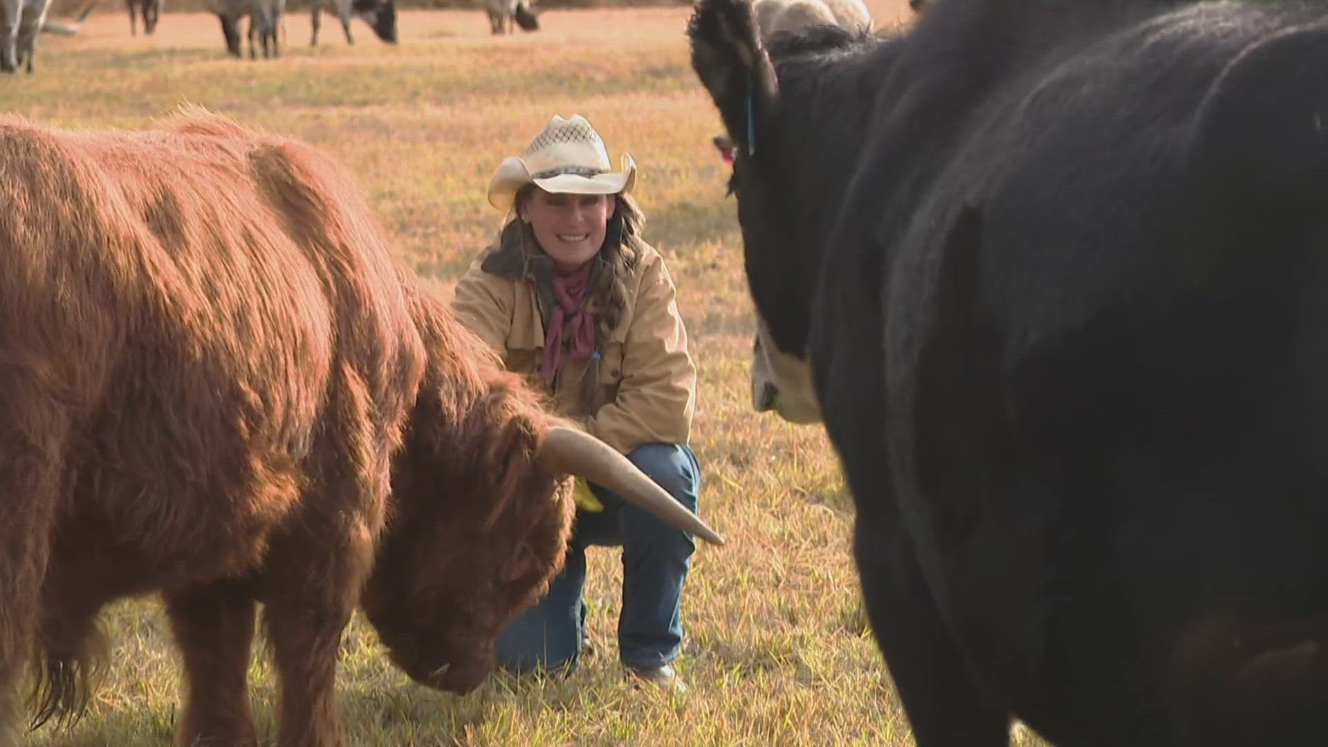 A growing number of wild predators in Washington are having an impact on the people who live and raise livestock in Eastern Washington. 