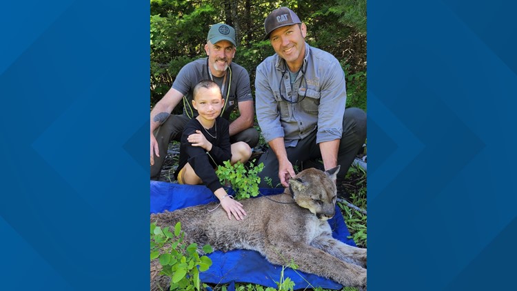 Spokane girl attacked by cougar back in the woods for therapy