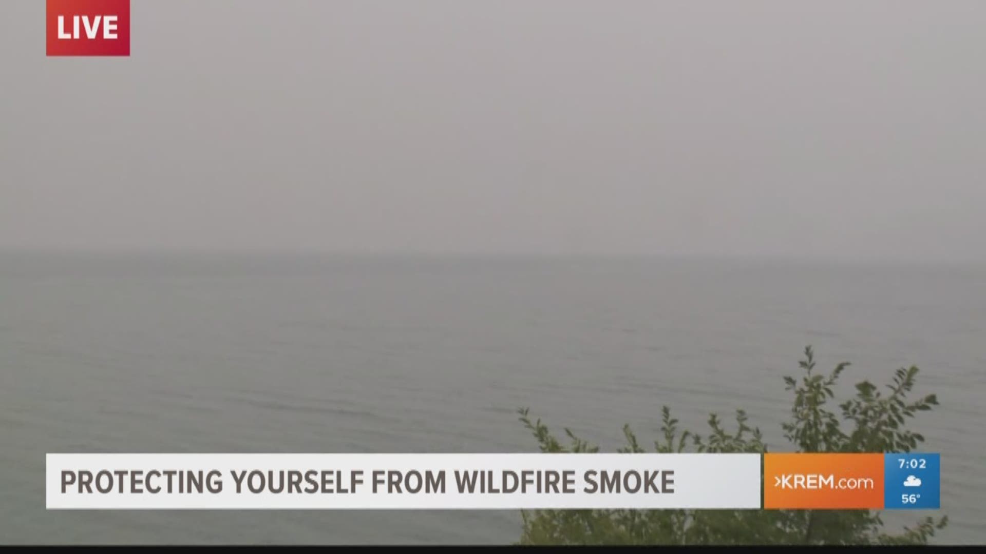 Protecting yourself from wildfire smoke