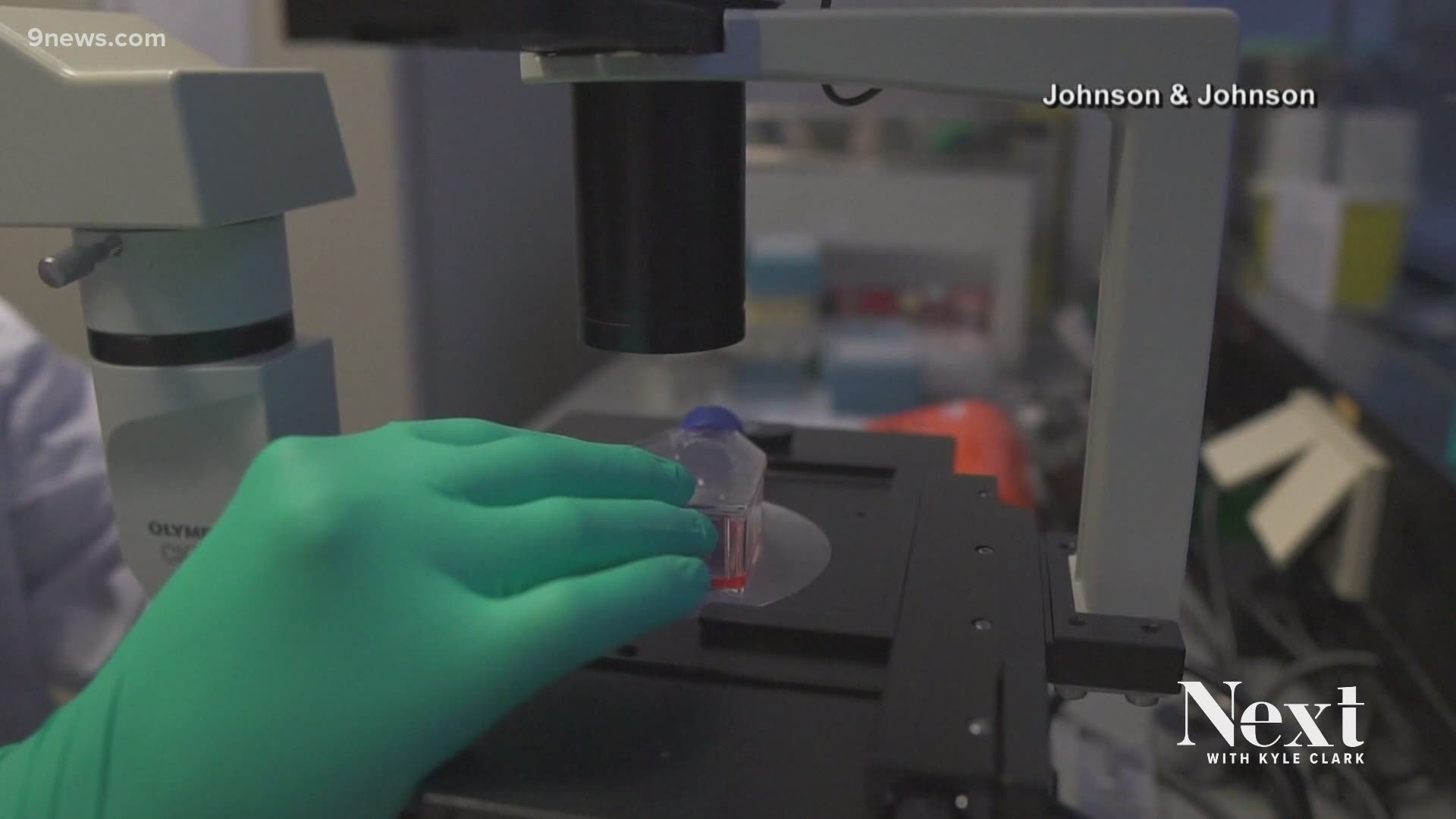 How to download (and turn off!) your own cat Zoom filter