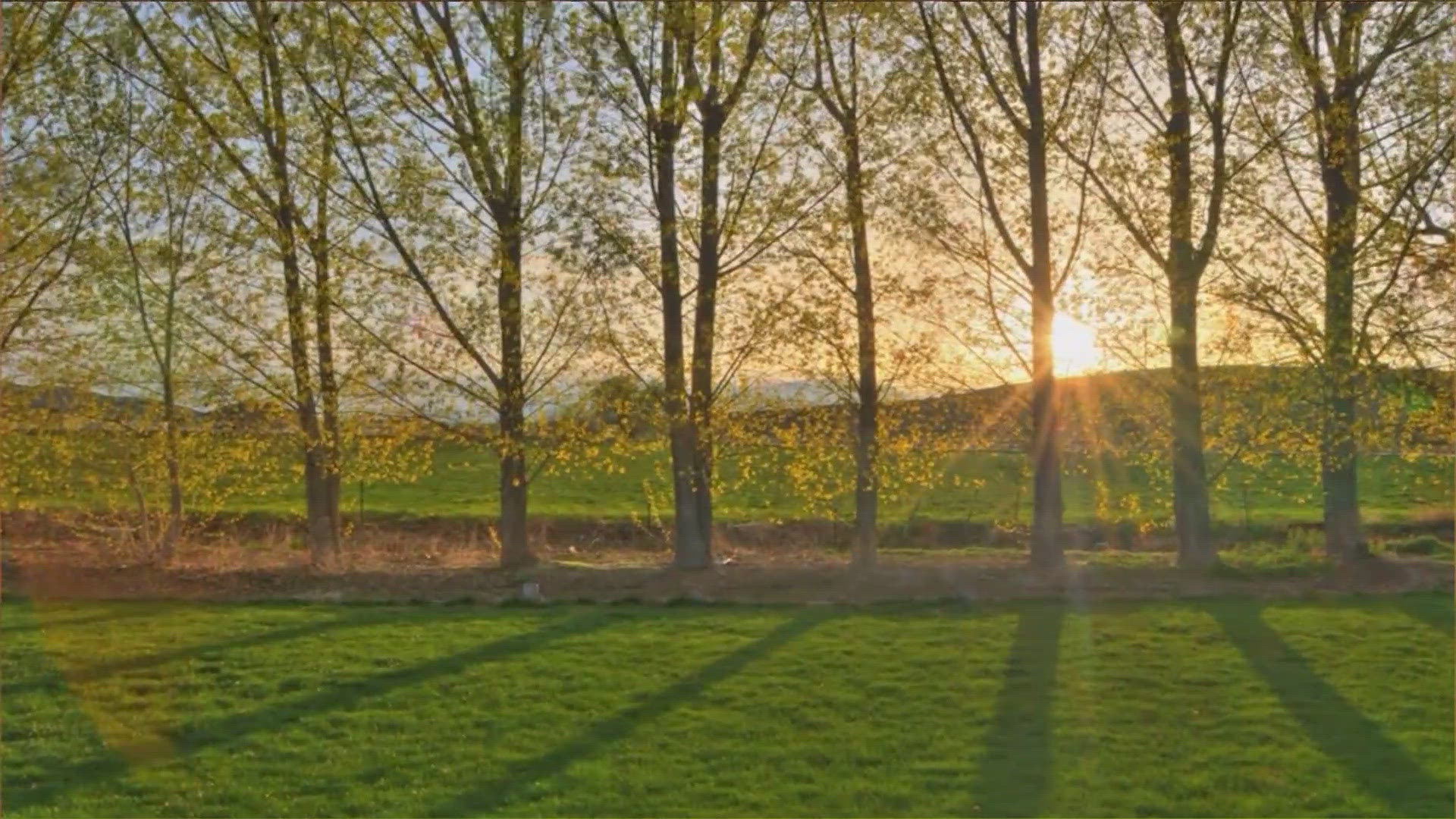 If passed, the Sunshine Protection Act would stop the bi-annual time change each spring and fall. 