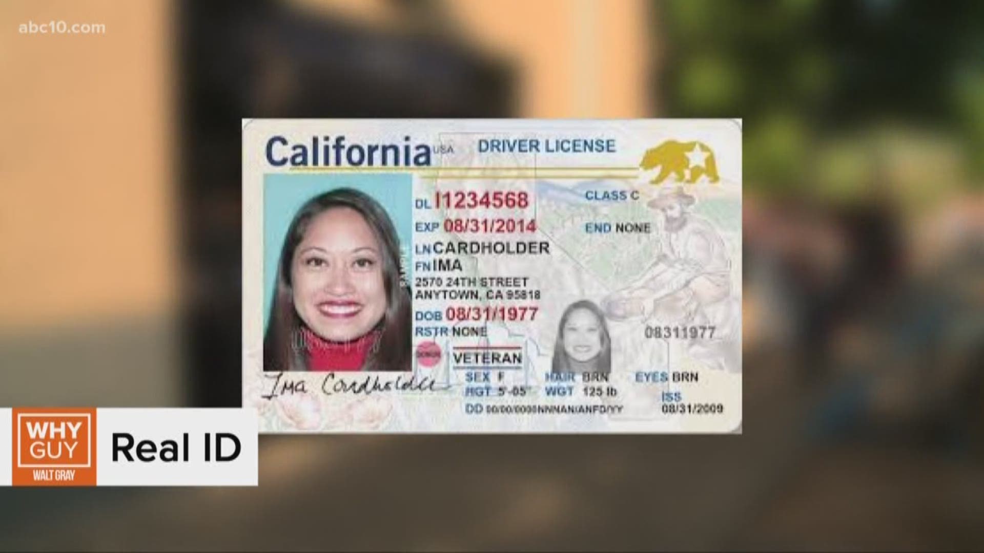 Ca Id Card Same Day