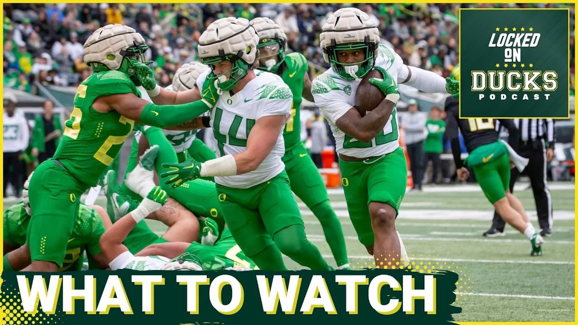 Oregon's 2024 season is finally upon us with the Idaho Vandals coming to Autzen Stadium as a high-end FCS program over the last couple of years.