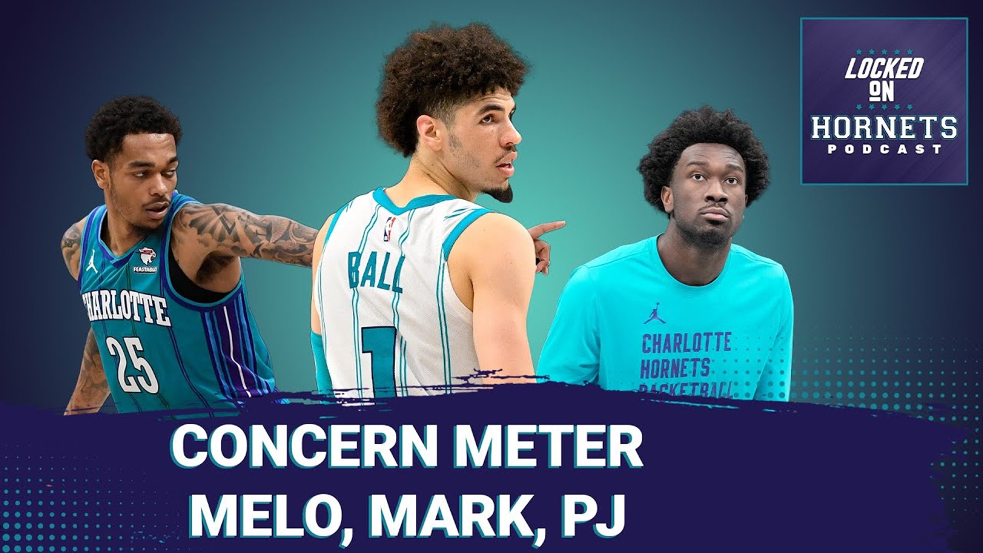 Concern Meter. LaMelo Ball, Mark Williams, PJ Washington + an update on Bally Sports Hornets