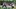 The mood around Dan Lanning and Oregon Football is positive, can go higher | Oregon Ducks Podcast