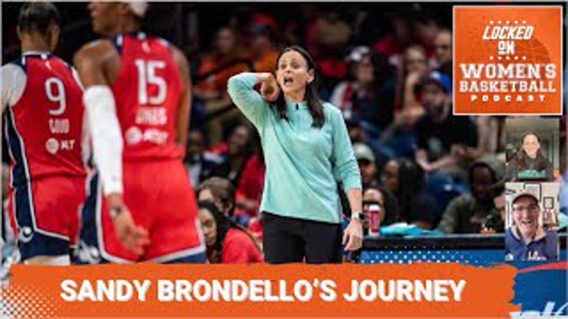 Sandy Brondello coaching the New York Liberty