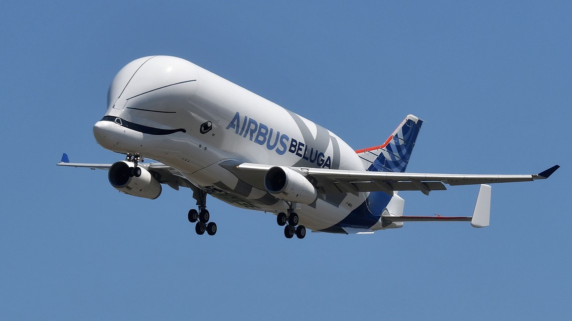 World's strangest-looking airplane? New Airbus 'Beluga' takes flight ...