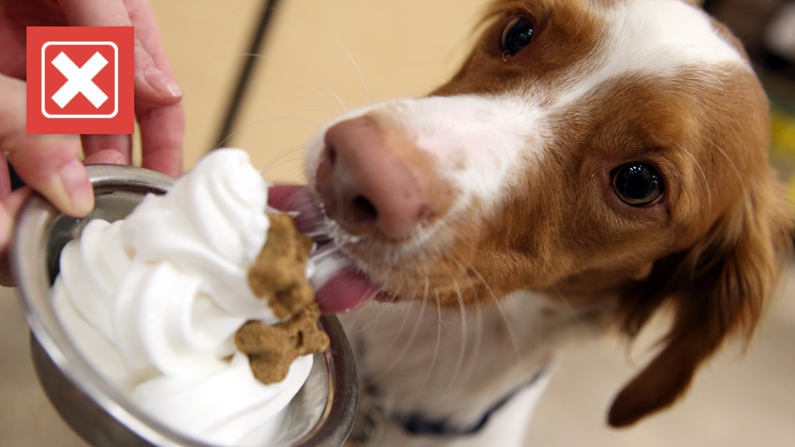 McDonald’s ice cream has no xylitol, sweetener unsafe to dogs