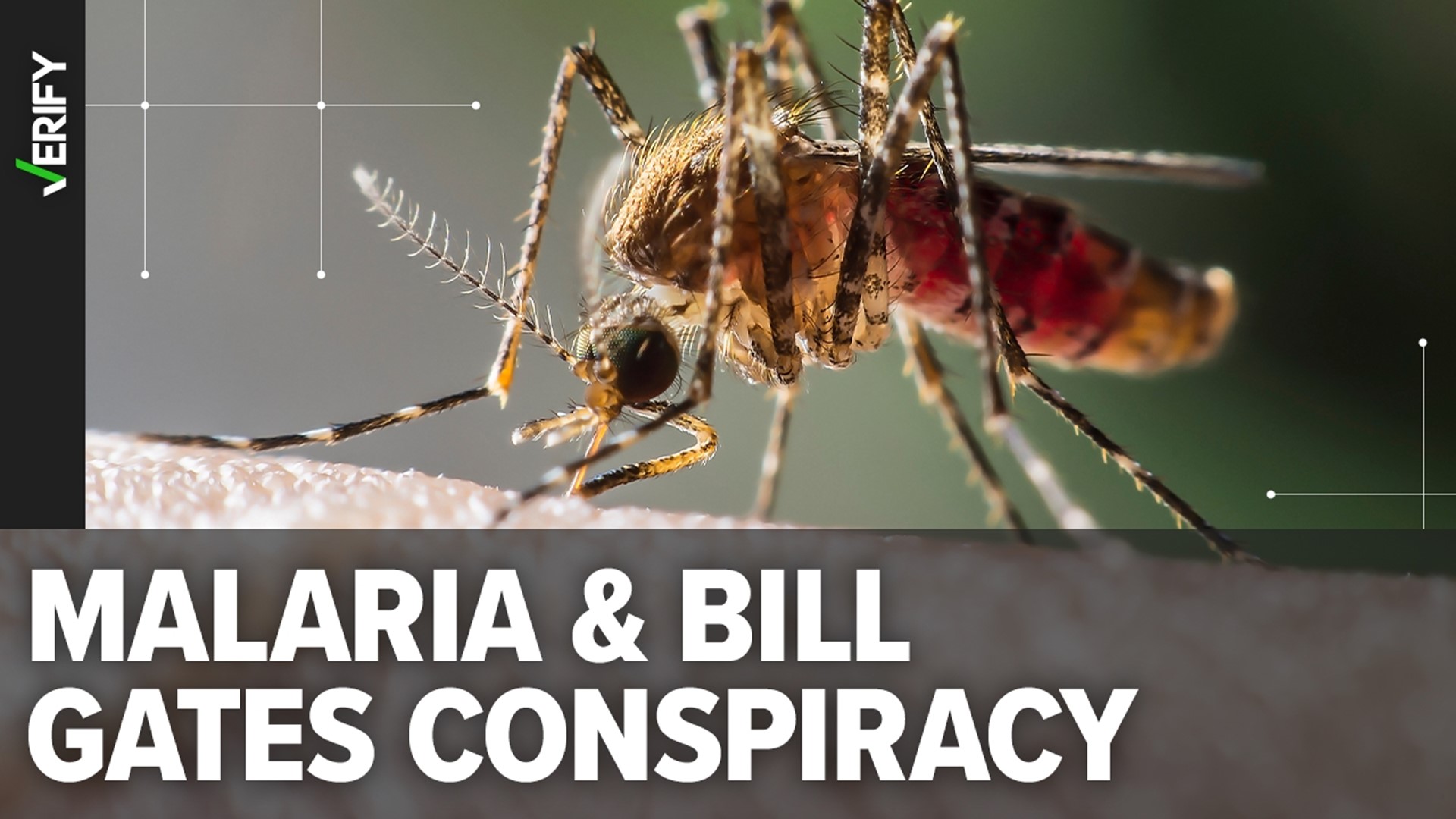 The Bill & Melinda Gates Foundation and the Florida Keys Oxitec Mosquito Project are not responsible for recent malaria cases detected in Florida and Texas.
