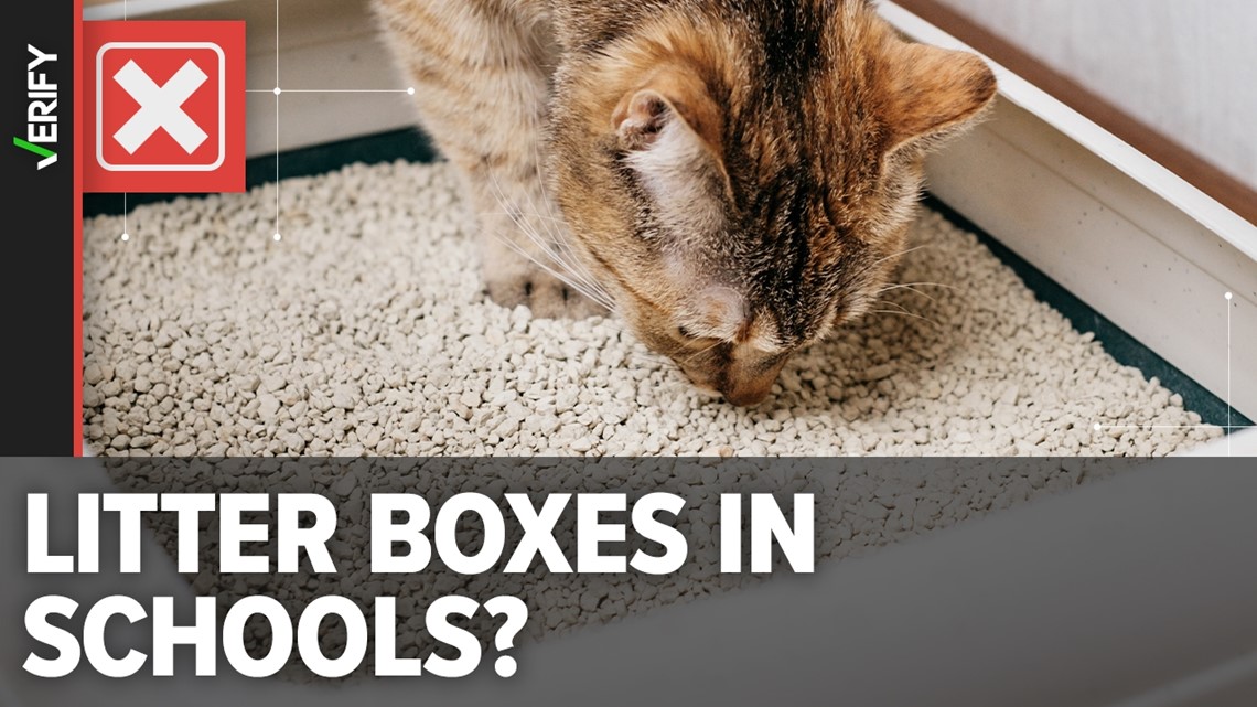 There’s never been evidence of a school providing litter boxes for