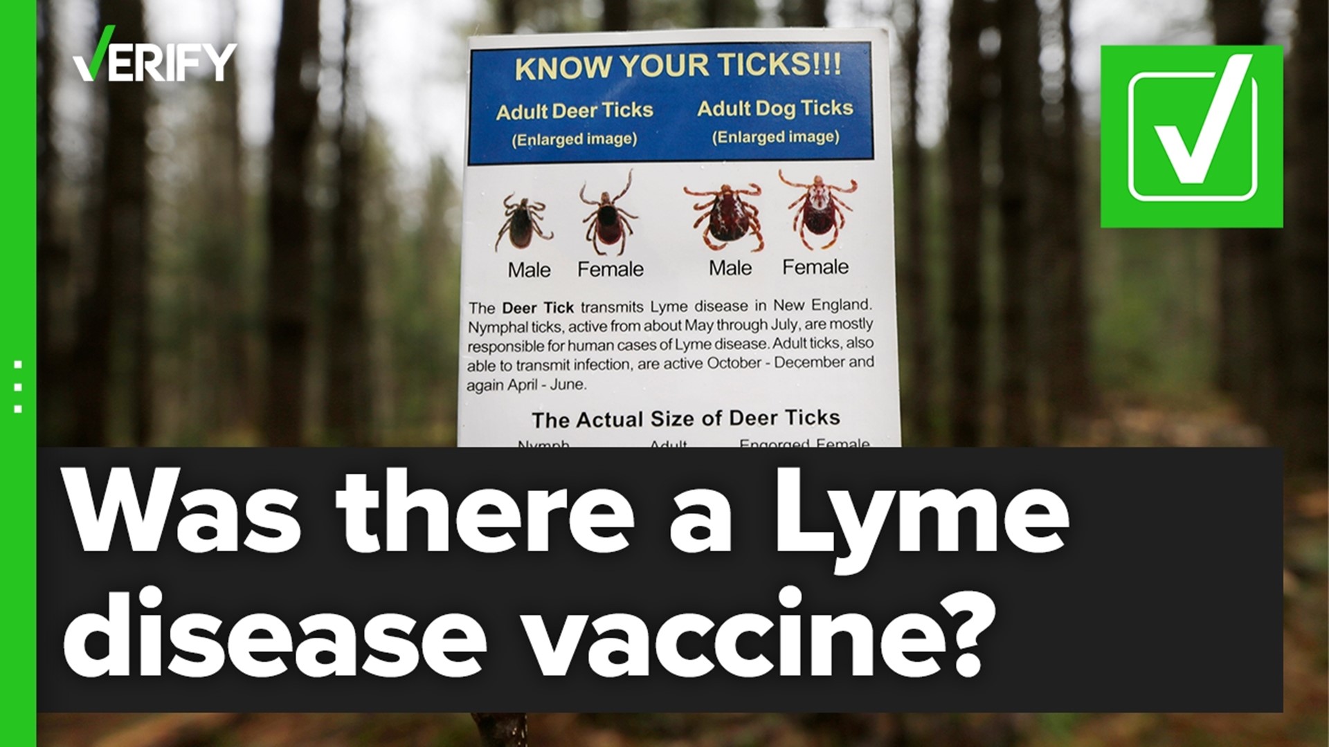 It used to be possible to be immunized against the common tick-borne illness, but the vaccine's manufacturer discontinued it, citing low demand.