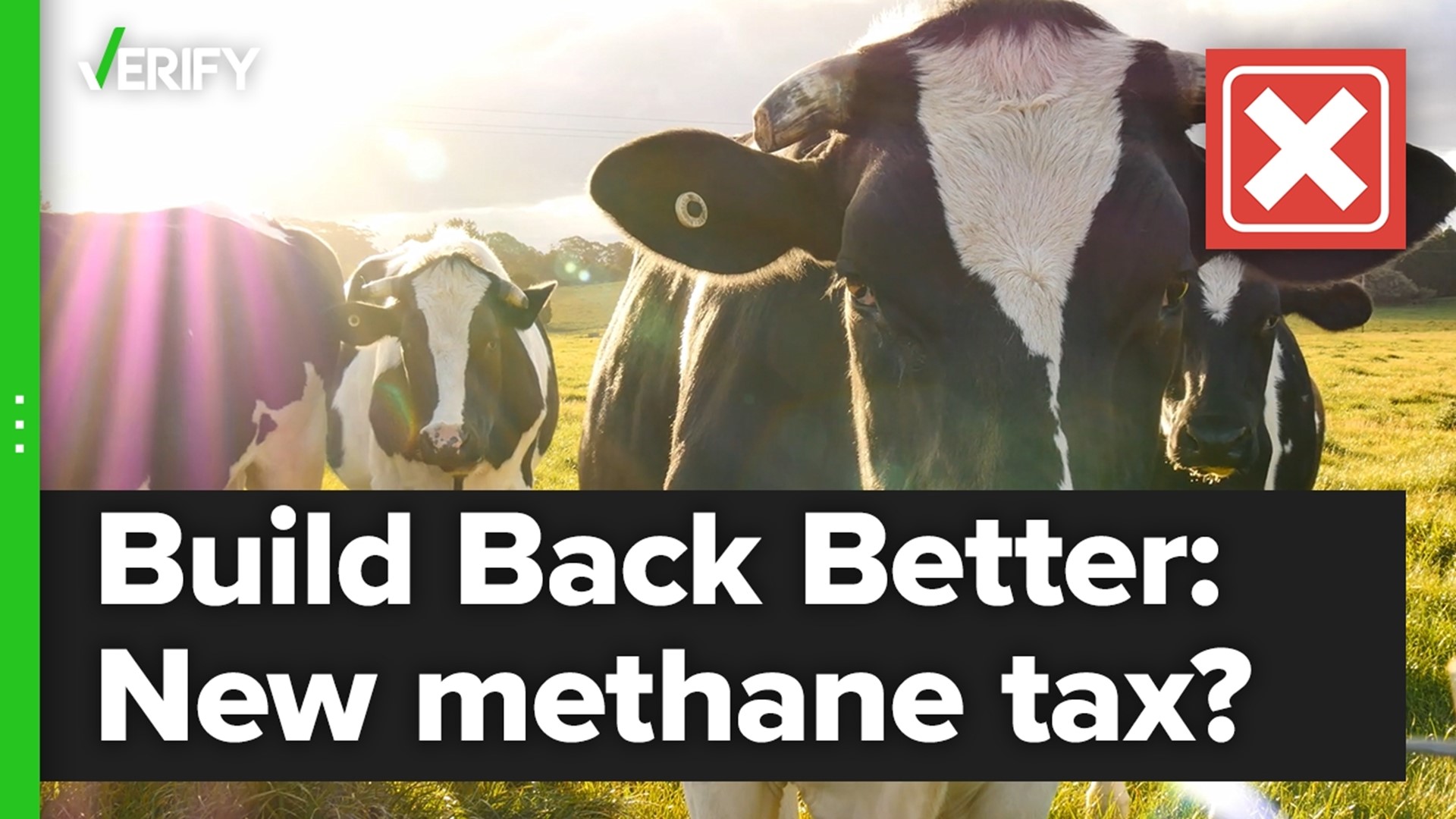 Does the “Build Back Better” bill include a methane tax on livestock? We went to work fact checking this claim and according to the American Farm Bureau Federation a
