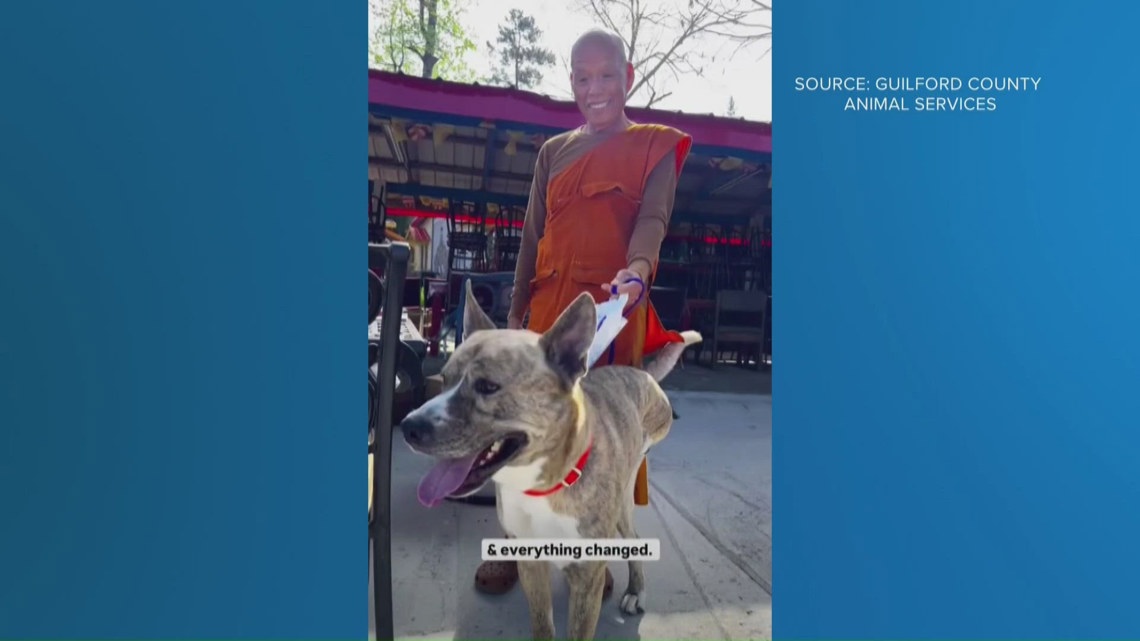 Monks Rescued Dog Monk from Walk for Peace adopts three-legged shelter dog | kgw.com