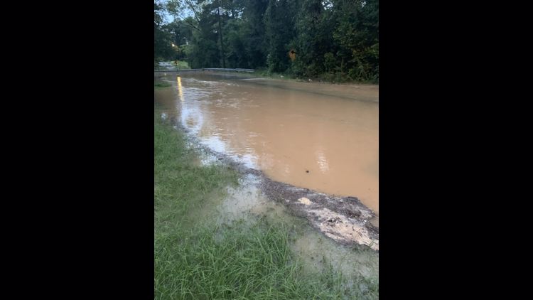 Central Georgia Tropical Depression Sally damage reports | kgw.com