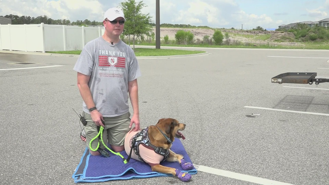 'Overwhelmed with emotions': Navy veteran reunites with missing service dog