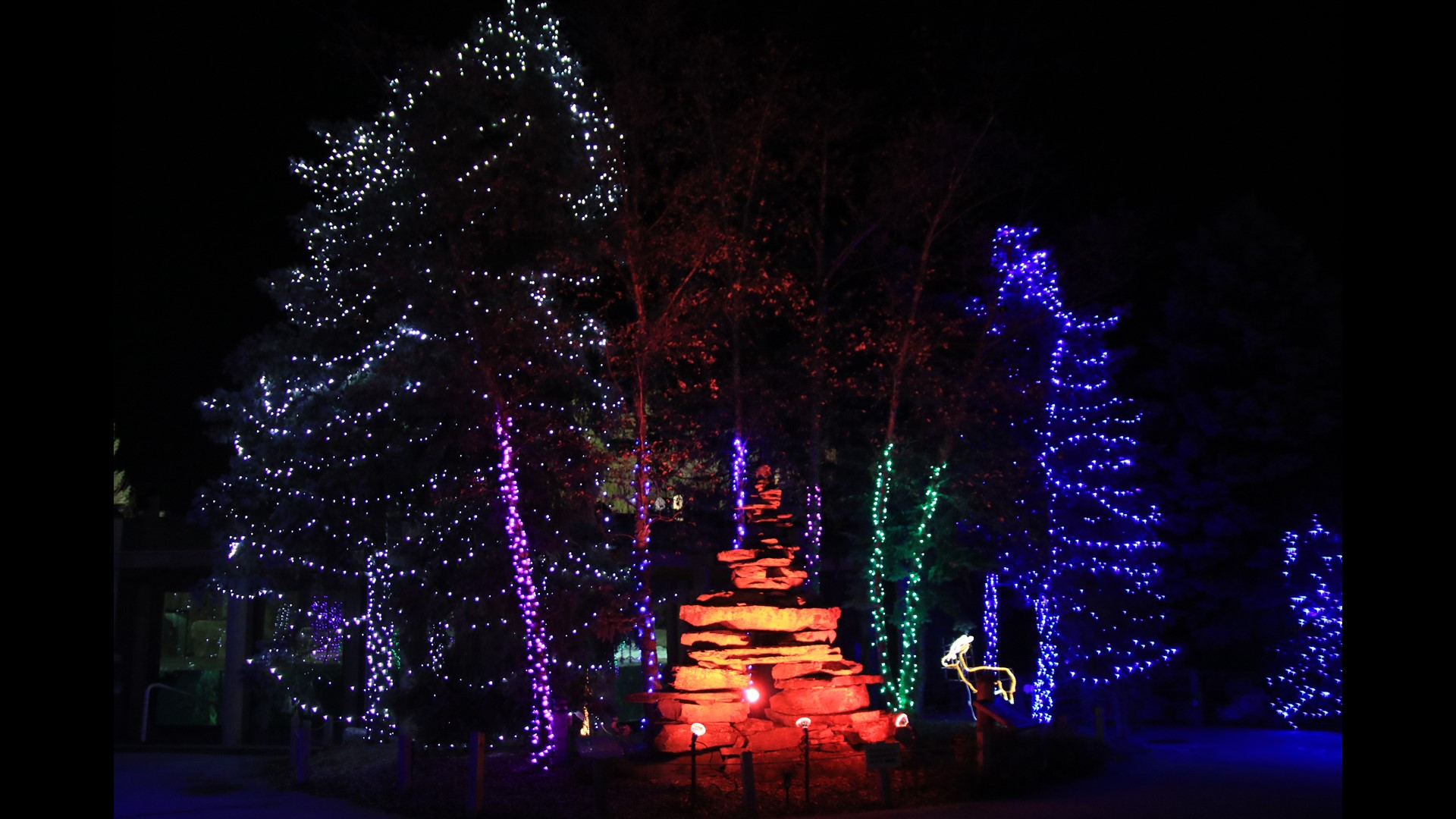 Lights Before Christmas opens at the Toledo Zoo with the tree-lig | kgw.com