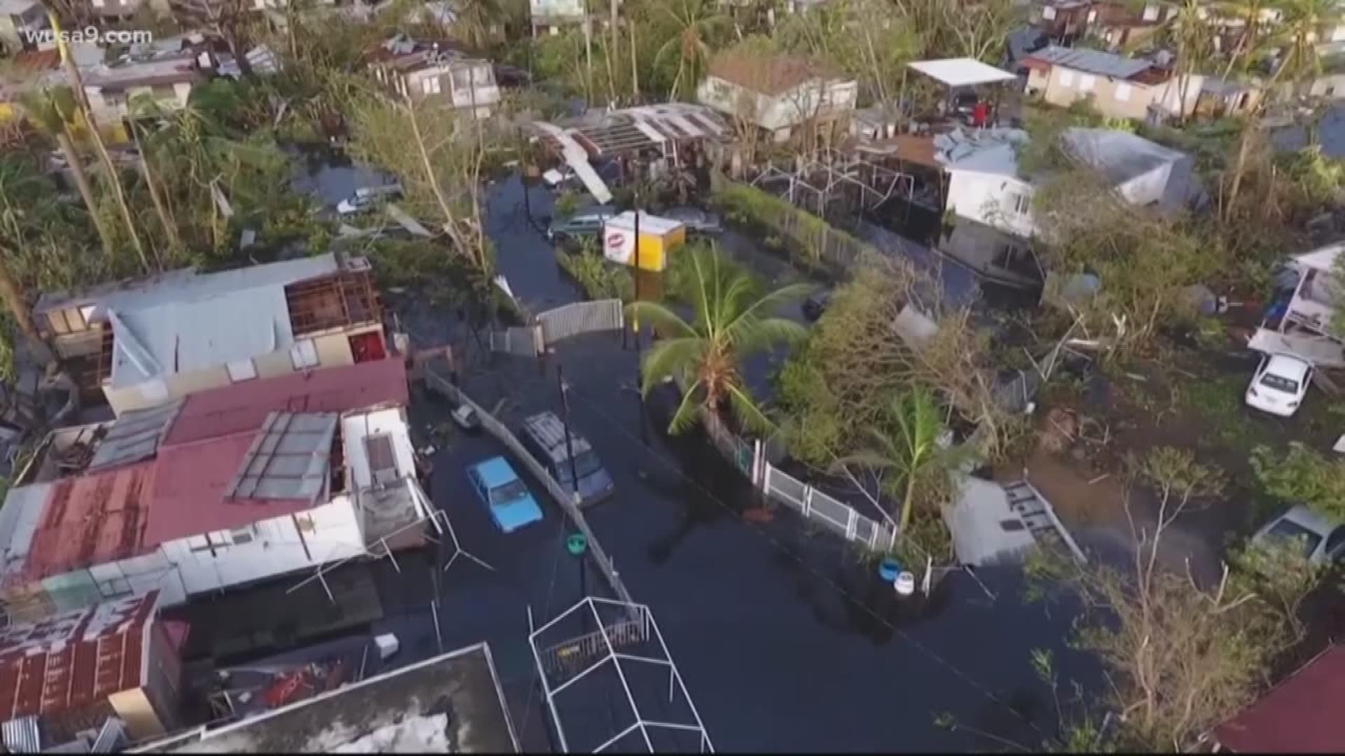 A 5.4 earthquake shook the island of Puerto Rico. 
Thousands are without water and food. Chef Alejandro Perez with World Central Kitchen is helping those in need.